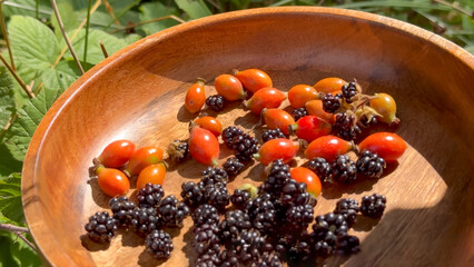 Fresh Wild Blackberries and Rose Hips in a Rustic Wooden Bowl