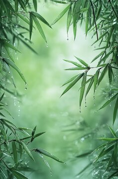 Green background with bamboo leaves and water droplets