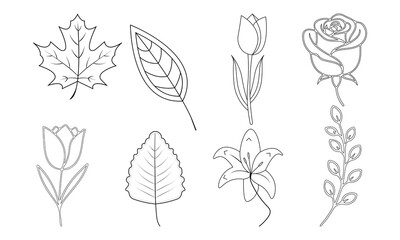 Floral and Leaf Line Art Collection  Minimalist Botanical Vector Illustrations