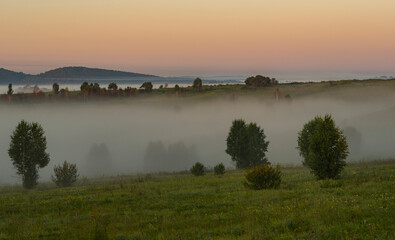 Russia. South of Western Siberia, Altai Krai. Thick fog in the hollows and hollows of hilly steppes with sparse trees at dawn of a summer day.