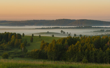 Russia. South of Western Siberia, Altai Krai. Thick fog in the hollows and hollows of hilly steppes with sparse trees at dawn of a summer day.