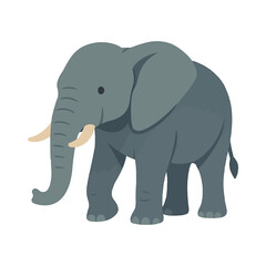 Obraz premium elephant illustration design