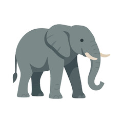 elephant illustration design