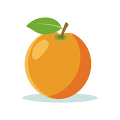 Orange fruit illustration with stem and leaf