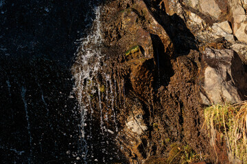 acqua che scorre lungo le rocce coperte di muschio vecchio in un ruscello di montagna nella penombra, di giorno