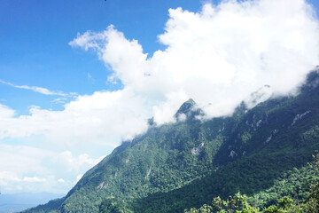 A majestic, lush green mountain partially shrouded in dramatic clouds against a vibrant blue sky. 