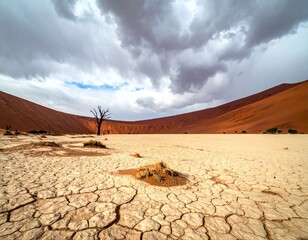 Vast, arid landscape under dramatic sky.  Dry, cracked earth stretches under a stormy sky, a lone, dead tree stands sentinel.  Reddish dunes and pale white cracked earth meet