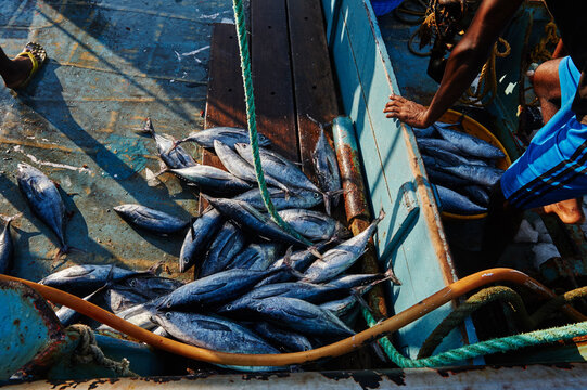 Fishermen/3