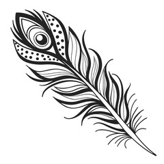 Obraz premium Elegant black and white line art illustration of a stylized peacock feather with intricate patterns and dot details on a white background