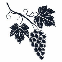Obraz premium Stylized dark silhouette of a grape vine branch with leaves and a bunch of grapes against a white background