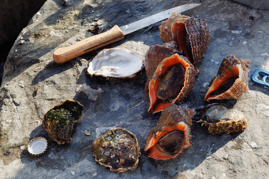 Different seafood