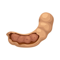 Illustration of tamarind fruit with the skin half peeled