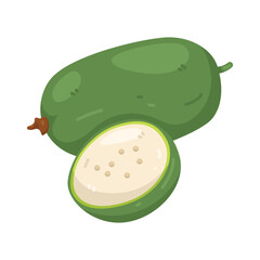 illustration of green wax gourd
