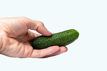 Hand holding fresh green cucumber on white background