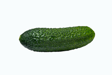 Fresh green cucumber covered with water droplets on white background