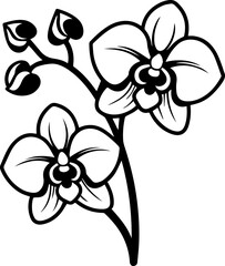Beautiful luxurious flower design, SVG with clean lines.Elegant Black and White Orchid Floral Design Illustration