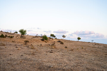 A dry, gently sloping landscape dotted with sparse trees and shrubs stretches beneath a clear sky in soft, late-day light.