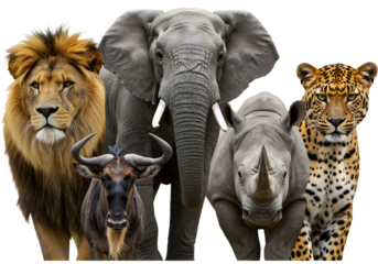 Majestic African Wildlife Animals - Lion, Elephant, Rhino, Leopard, and Wildebeest Grouping