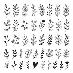 vector bundle of black and white botanical illustrations leaves branches bloom line art designs