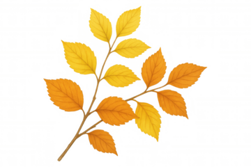 Autumn foliage creating multicolored pattern, showcasing seasonal transformation with vivid leaf arrangement against clear backdrop