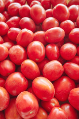 Close up photo of organic ripe tomatoes, selective focus.