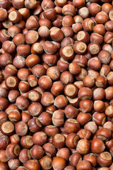 Close up of ripe dry hazelnuts in shell.