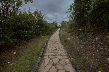 gentle path winding through mist, moss-laden trees, soft light filtering, each step drawing you closer to Kuélap fortress.