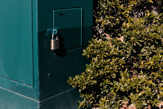 Locked Electrical Box Near Leafy Bush