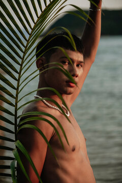 Nature's Shade