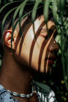 Sunlit Palms Portrait 