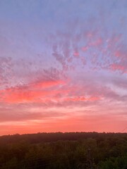 Obraz premium Vivid sunset sky with pink, orange and purple clouds over a dark green forest silhouette. Beautiful evening landscape, ideal for backgrounds, nature themes, or artistic design.