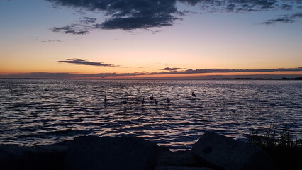 Etang de Vaccar&egrave;s