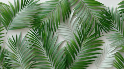 Lush Tapestry of Layered Green Palm Fronds in Soft Diffused Light.
