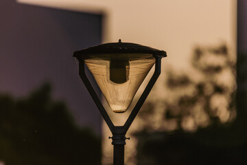 farol tenue