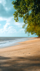 Serene Beach with Turquoise Water
