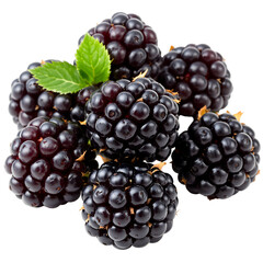 Fototapeta premium Freshly Harvested Blackberries with a Mint Leaf, A Delicious and Nutritious Berry for Healthy Eating