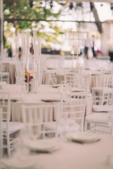 Elegant outdoor dining setup with white chairs and soft floral centerpieces for a special celebration in a beautiful garden atmosphere