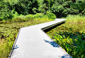 Walney Pond, Chantilly, Fairfax County, Virginia, USA
