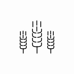 three wheat stalks icon sign vector