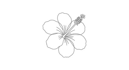 a delicate outline drawing of a tropical flower bloom
