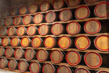 Visit of wine cellar with old large oak barrels, production of fortified dry or sweet tasty marsala wine in Marsala, Sicily, Italy