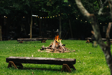 Campfire area surrounded by wooden benches and lush greenery in outdoor nature setting, perfect for group gathering, relaxation, eco-living, forest camping experience, and rustic open-air adventure