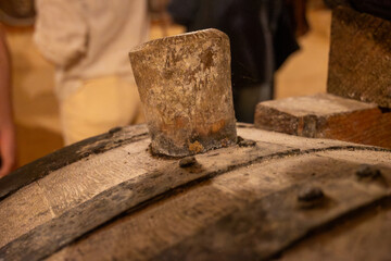 Visit of wine cellar with old large oak barrels, production of fortified dry or sweet tasty marsala wine in Marsala, Sicily, Italy