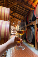 Visit of wine cellar with old large oak barrels, glass of fortified dry or sweet tasty marsala wine from barrels in Marsala, Sicily, Italy