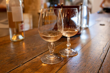 Visit of chateau with undergroud caves and wine tasting  in Cahors wine production area, white, rose and red malbec wines, France
