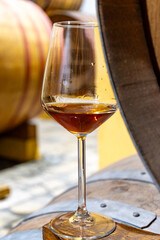 Visit of wine cellar with old large oak barrels, glass of fortified dry or sweet tasty marsala wine from barrels in Marsala, Sicily, Italy