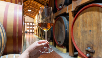Visit of wine cellar with old large oak barrels, glass of fortified dry or sweet tasty marsala wine from barrels in Marsala, Sicily, Italy