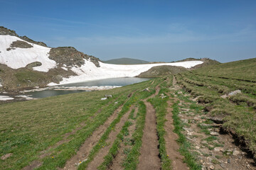 Fototapety na wymiar - Fototapeta24.pl