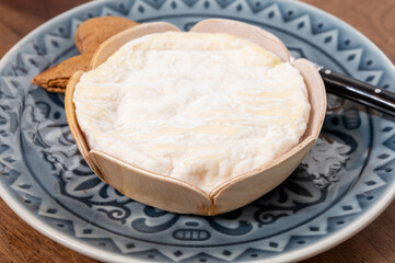 French cheeses collection, Saint-Felicien cow's milk cheese with white mold from Rhone-Alpes region of France