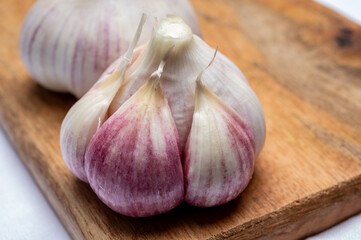 Fresh young heads of purple or violet French garlic close up